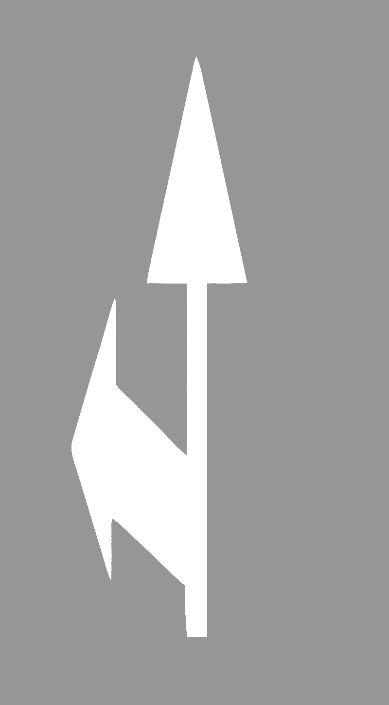 Strelice za označavanje dva ili više smjerova vožnje-Ravno i lijevo