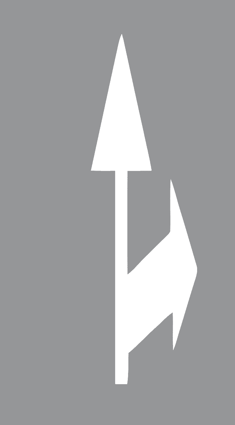 Strelice za označavanje dva ili više smjerova vožnjeRavno i desno