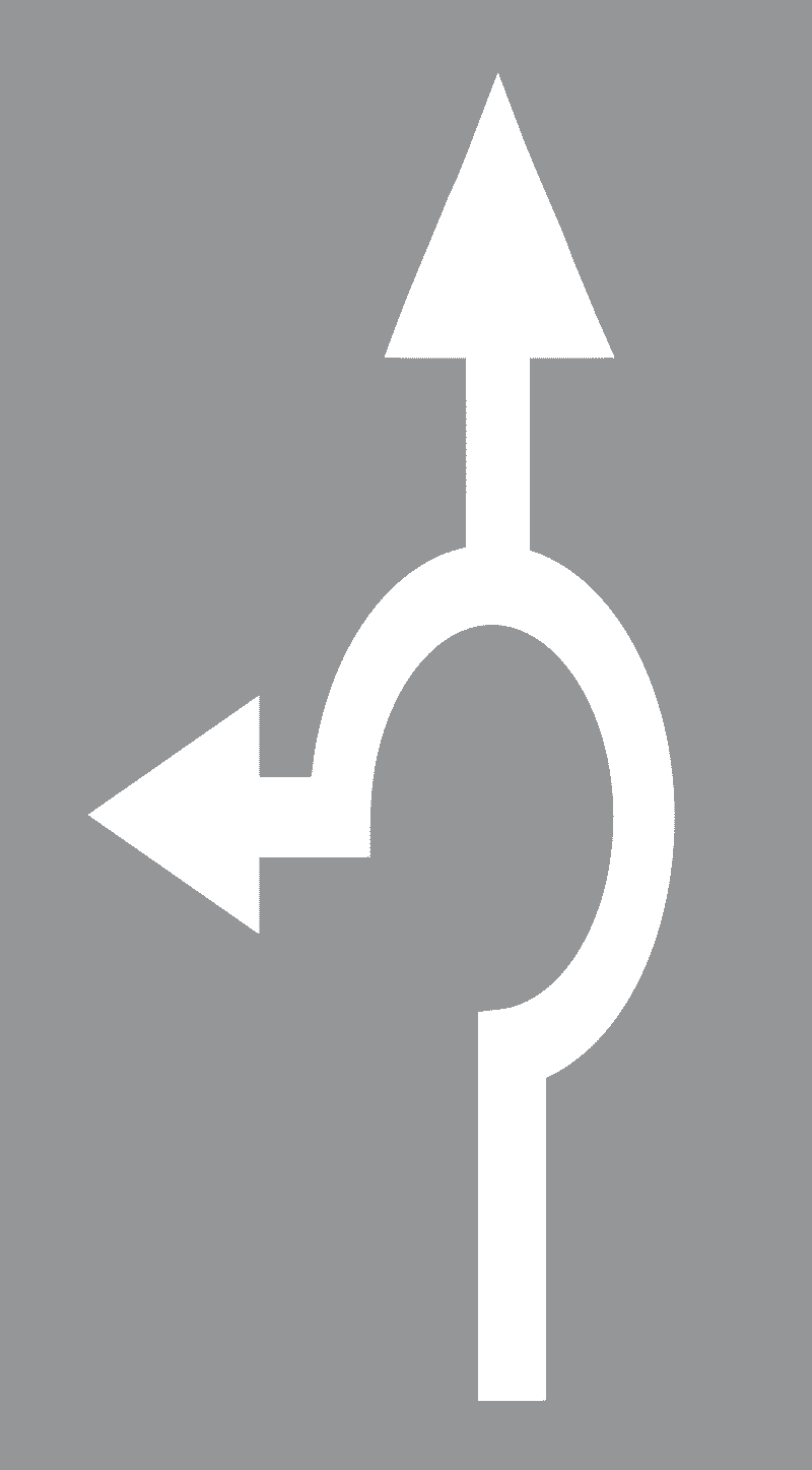 Strelice za označavanje dva ili više smjerova vožnje-Ravno i lijevo na raskrižjima s kružnim tokom prometa s više prometnih traka