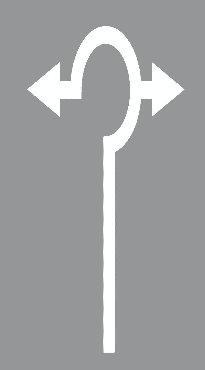 Strelice za označavanje dva ili više smjerova vožnje-Lijevo i desno na raskrižjima s kružnim tokom prometa s više prometnih traka