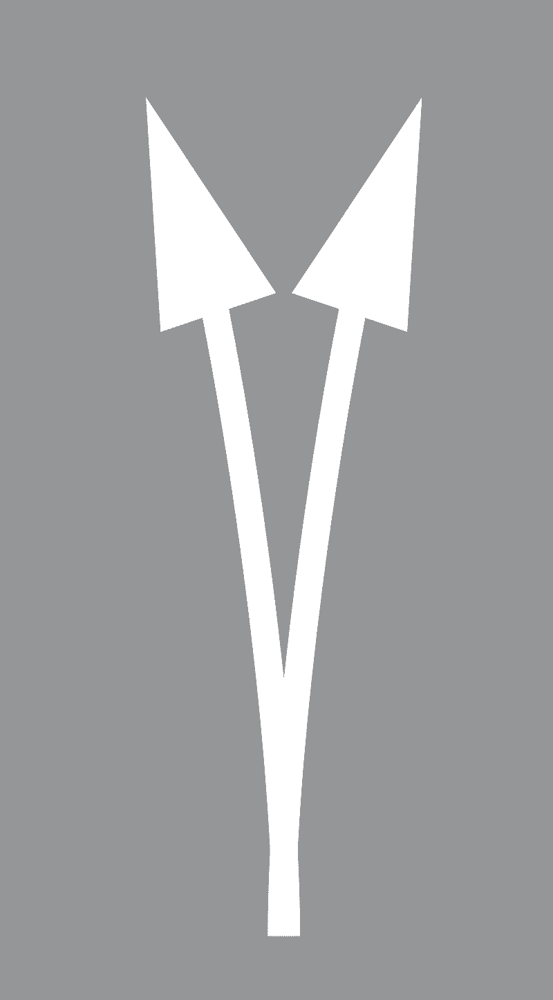 Strelice za označavanje namjene prometnih traka u zoni razdvajanja na autocestama i brzim cestama-Na prometnoj traci lijevo i desno